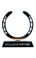Exclusive Partner