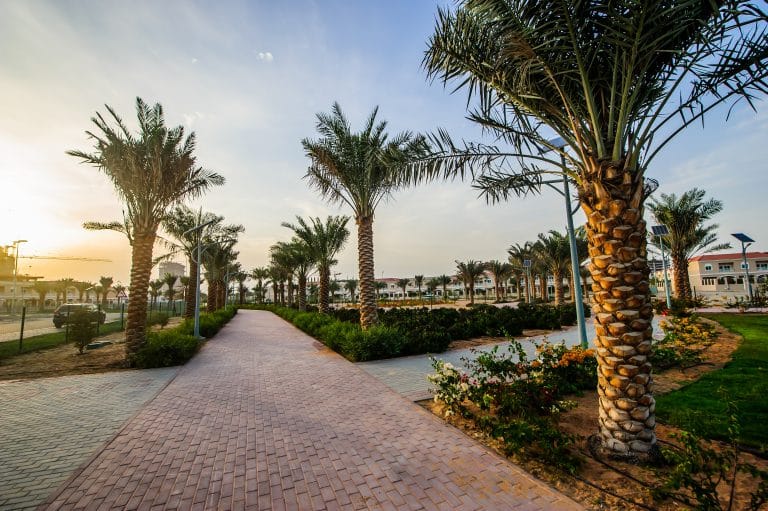 Jumeirah Village Circle property guide