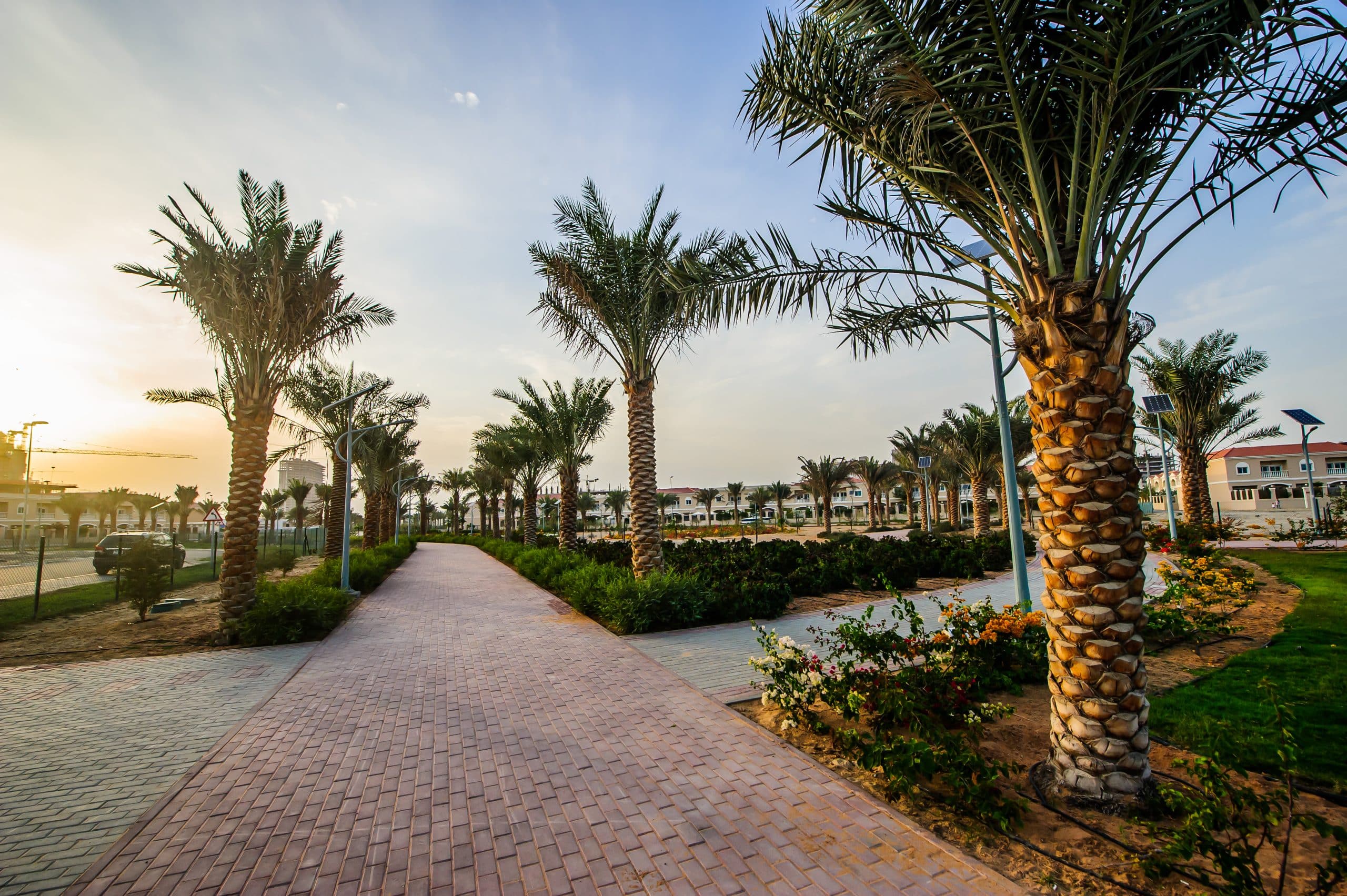 Jumeirah Village Circle property guide