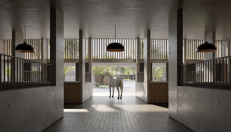 GRAND_POLO_IMAGE17
